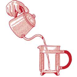How to Brew French Press Coffee